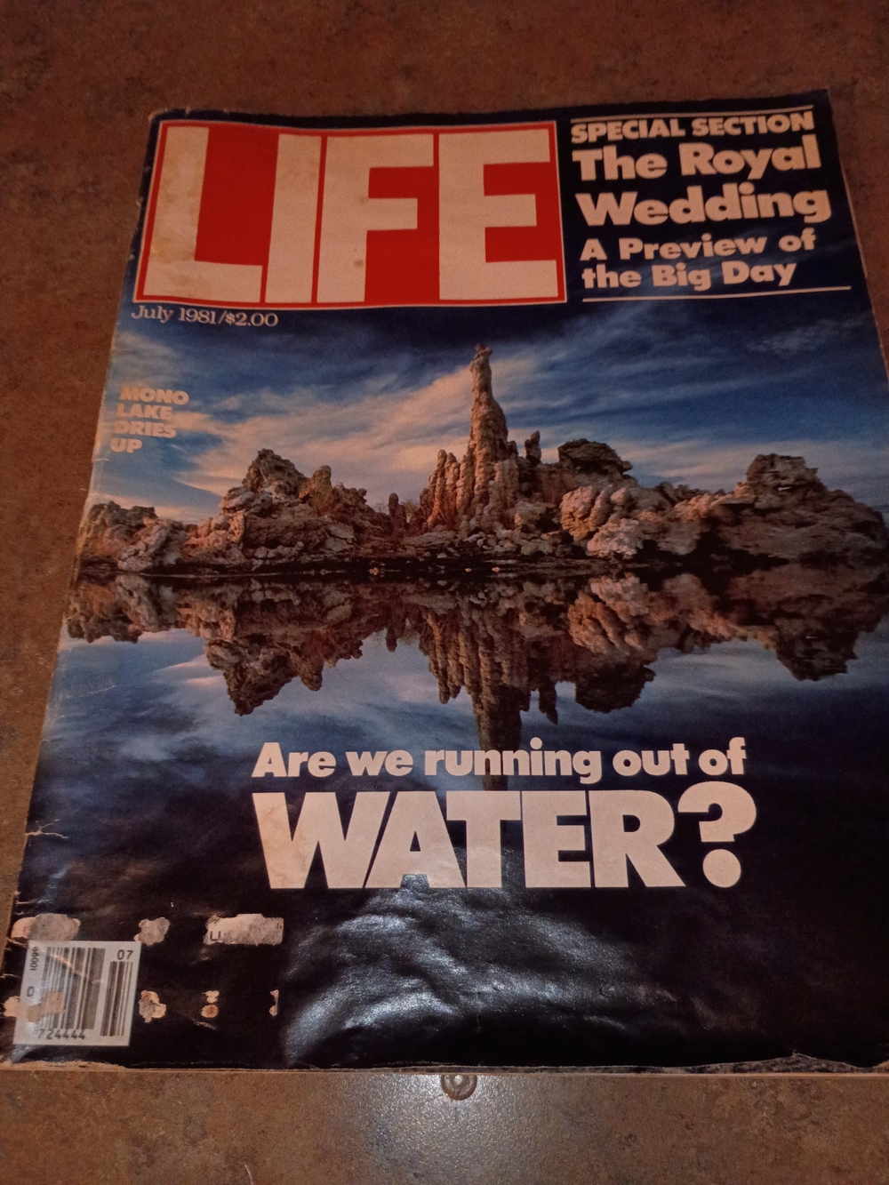 Magazine Special Section - Blue Cover